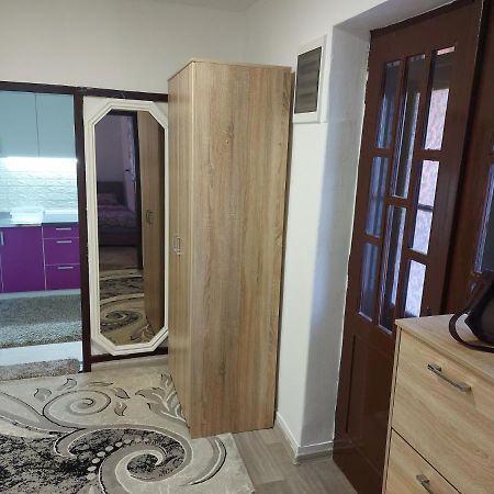 Lovely, Neat And Quite Apartment Dalia, Private Parking サラエヴォ エクステリア 写真