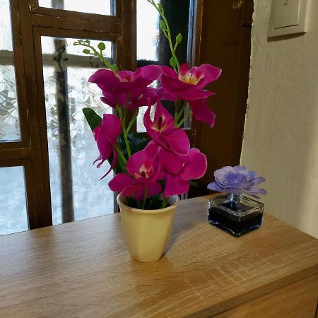 Lovely, Neat And Quite Apartment Dalia, Private Parking サラエヴォ エクステリア 写真