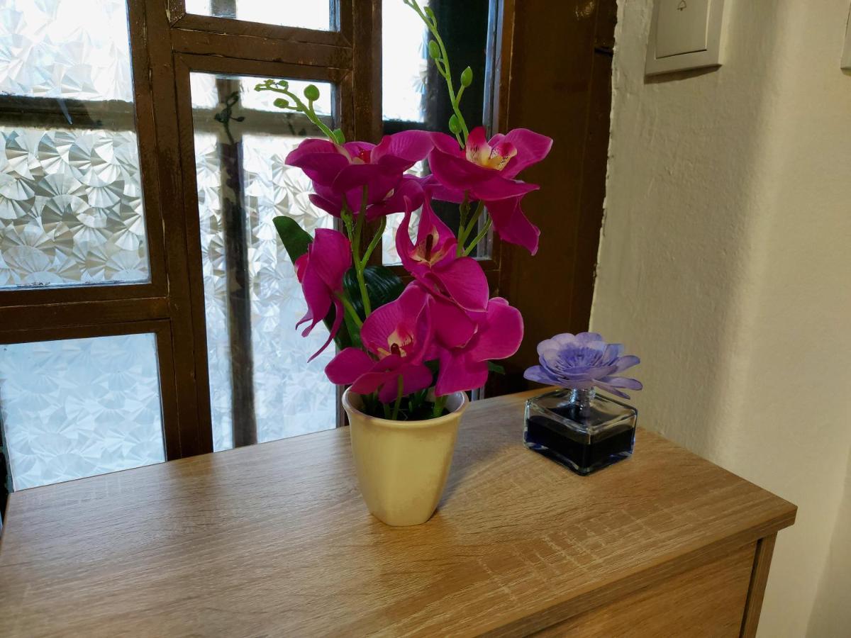 Lovely, Neat And Quite Apartment Dalia, Private Parking サラエヴォ エクステリア 写真